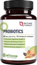 Probiotika til kvinder, mænd og børn, 60 milliarder Probiotika til fordøjelsessygdomme -14 Probiotika, Prebiotika og Probiotika til Gut Health & Immunsupport, Gluten Free, Non- GMO, 90 tabletter