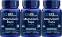 Life Extension Magnesium 500 mg, 100 Vegetariske kapsler (pakning med 3)