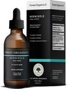 Generisk Hernia Health Kosttilskud - Glycerin Uddrag fra 24 Planter med Plaxoquantin Synergy til fordøjelsesstøtte - Styrker svage væv og hjælpemidler med Hernias Budd124; Hernisol