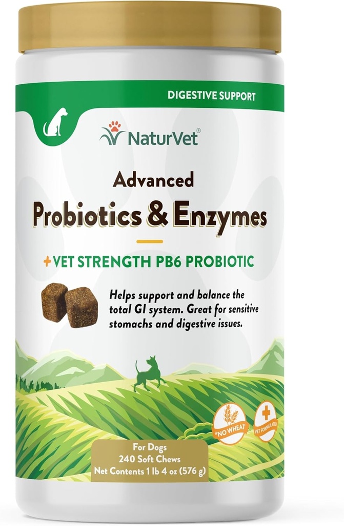 NaturVet Advanced Probiotika & Enzymes, PB6 Hund Soft Chews til at hjælpe følsomme stomachs og fordøjelsesproblemer, Hickory røget Bacon Flavored Pet supplement til hunde over 6 uger, 240 Count Jar