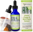 Maine Chaga Mushroom & Birch Bark Extract Liquid | 2oz | Wild Harvested & Double Extracted | USA & Canadian Grown Chaga