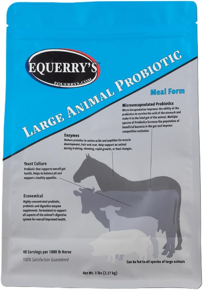 Equerry 's Large Animal Probiotic Medical 124; Kosttilskud til Gut Health and Nutrient Absorption Medical 124; Probiotika og fordøjelsesenzymer til heste, køer, geder, får, svin, 40 Fødder (5 lbs) for 1000 lb Animal