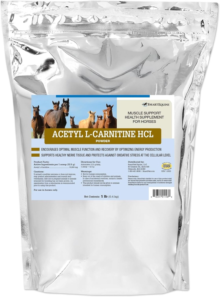Acetyl L- Carnitin HCL Pulver • 124; Horse Energy Supplement & Muscle Supplement for Heste Supporting Muskelfunktion & Mere • 124; Antioxidant- Rich Pure Formel • 124; 1 LB Bag