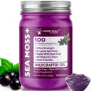 WELLENess LALSRX Irish Sea Moss Gel Raw - Fremstillede Superfood Seamoss Gel - Elderberry Flavor, Vitamin og Mineral- Rich fra Pristine Caribbean Waters, Immun og fordøjelsessygdomme support - 10 oz.