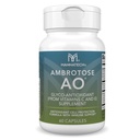 Mannatech Ambrotose AO 60 Capsules Loaded w / C-vitamin og E-vitamin hjælper krop mod frie radikaler. Gluten- Free, Dairy- Free & Vegetarian-Friendly immunsupportsupplement