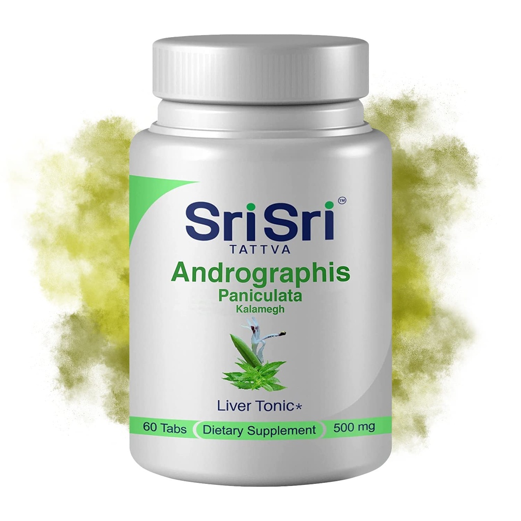 Andrographis Paniculata Kosttilskud - 60 tabletter Plante baseret Herbals Luftveje Wellness - Immunstyrke Genoprettende Andrographis Tablets - 500 Mg Organic Green Chiretta Herb