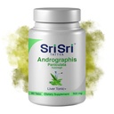 Andrographis Paniculata Kosttilskud - 60 tabletter Plante baseret Herbals Luftveje Wellness - Immunstyrke Genoprettende Andrographis Tablets - 500 Mg Organic Green Chiretta Herb