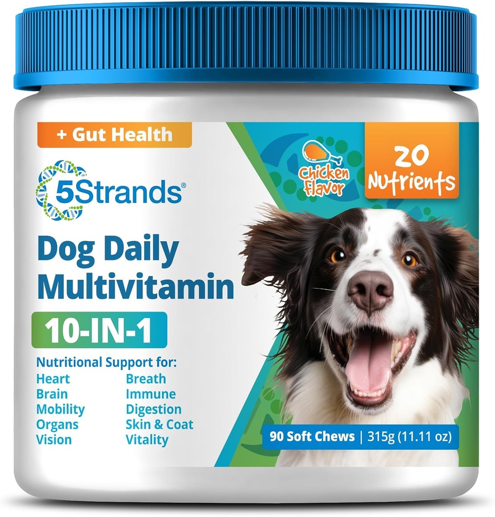 5Strands Hund Multivitamin Chews, 10- in-1, Vitaminer & Postbiotika, Alle aldre & racer - fordøjelse, hjerne, organer, hjerte, mobilitet, Vision, hud & Coat, immunforsvar - Dog supplement (kylling, 90ct)
