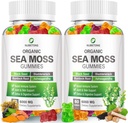 NUBETONG Irish Sea Moss Gummies 6000 mg med Bladderwrack og Burdock Root - Natural Irish Seamoss Supplement for Thyroid, Energi, immunforsvar - Extra Strength, Great Tasting - Gluten- Free, Vegan