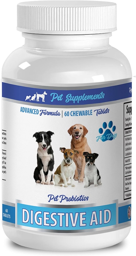 Hundegodter for dårlig ånde - DOG DIGESTERINGSSTØTTE PROBIOTIK - NATURLIG METODE - LØSNING TIL BUD BRATH OG GAS - COUNTER DIARRHEA - hund probiotika pakker - 1 flaske (60 Treats)