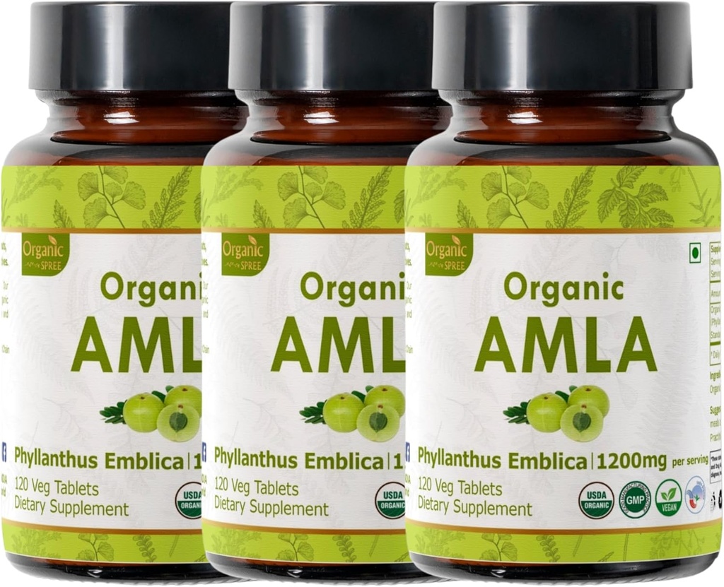 Amla 120 tabletter - USDA Økologisk indisk Gooseberry - Rig i C-vitamin & støtter immunsundhed * - pakke af 3