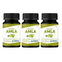 Amla 120 tabletter - USDA Økologisk indisk Gooseberry - Rig i C-vitamin & støtter immunsundhed * - pakke af 3
