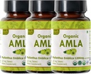 Amla 120 tabletter - USDA Økologisk indisk Gooseberry - Rig i C-vitamin & støtter immunsundhed * - pakke af 3