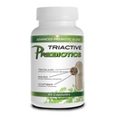 Prebiotiske kapsler til kvinder & mænd - Organic Prebiotics Supplement med Acacia Fiber, VitaFiber, Tricelium Mushroom Blend - Prebiotic Fiber Supplement for Gut Health, fordøjelse & mikrobiome Support