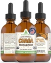 RawGuru Chaga Mushroom Supplement - Vegan Chaga Mushroom Uddrag med Trace Minerals - Nano- Forarbejdede Immunitet Boost & Kognitiv Supplement Tincture - 60 Serveringer af Vegan Drops pr 60 ml, Pack af 1
