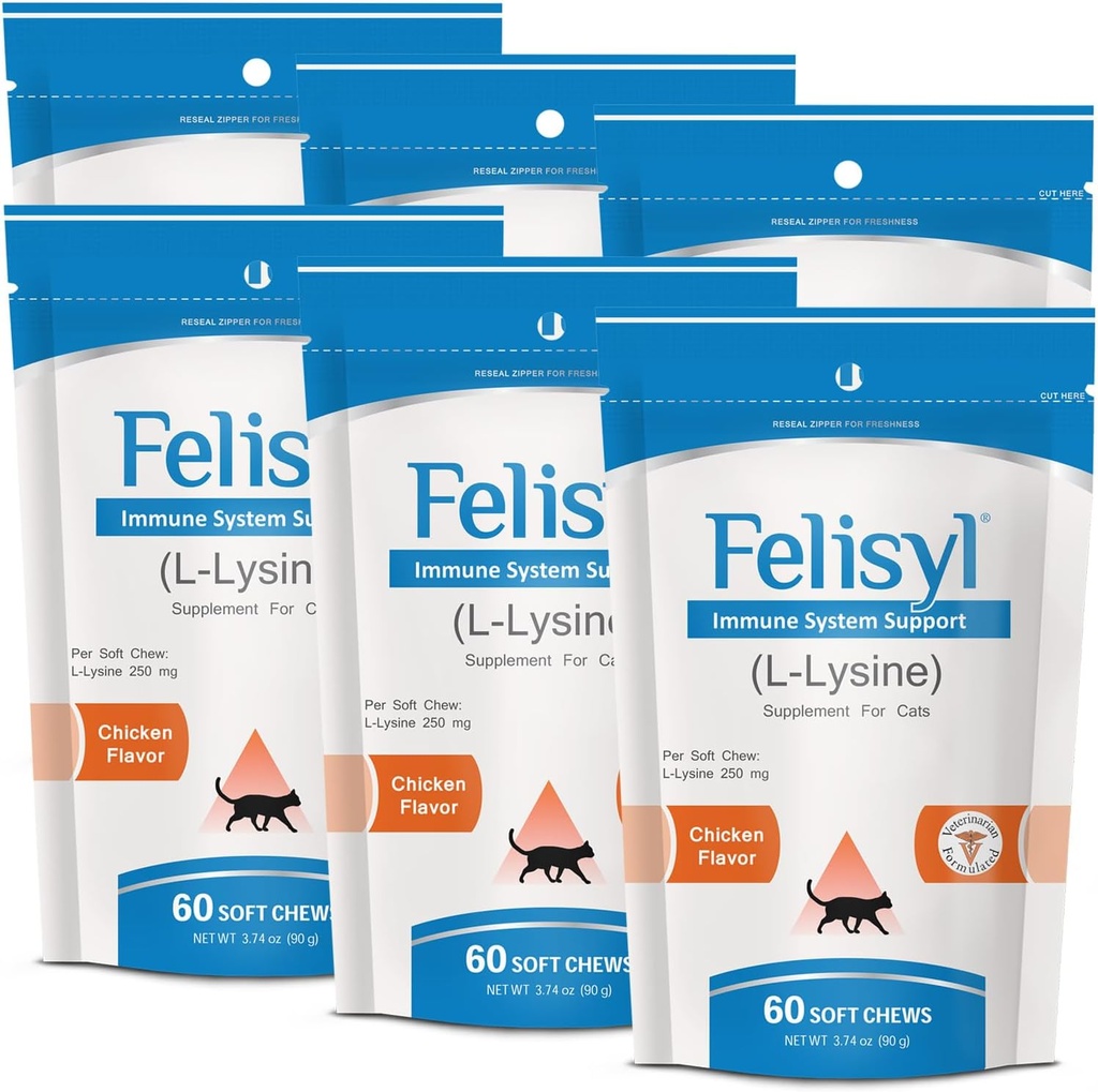 L- Lysin Soft Chews for Cats (60 Soft Chews) - Understøtter immunforsvar, luftveje og øje sundhed. Nemmer nysen, runny Næse, og Watery Eyes. Laks flavor - (6 Pack)