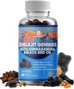 Shilajit Gummies, Shilajit, Resin, med 85 + Spormineraler, Fulvic Acid, Phytonutrients, C-vitamin, D, B12, Ashwagandha, Chaga Mushroom, Gurkemeje, for Energy, immunforsvar