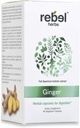 Rebel urter Ginger Kapsler Kraftfuld Dual Extract, Non- GMO, Gluten Free, Ginger Root (Rhizome) Extract
