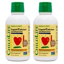 ChildLife Essentials Liquid Calcium supplement til børn - Baby Calcium med magnesium, zink, og vitamin D3 - Orange Flavor, 16 fl oz (2 Pack)