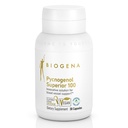 Biogena Pycnogenol 100 mg guld med Premium Patenteret Fransk Maritime Pine Bark Extract (Pinus Pinaster) til at understøtte blodcirkulation