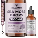 TrueSeaMoss Irish Sea Moss Drops - 5X stærkere end Sea Moss Gel - 92 + Essentials Minerals - med sort Elderberry, Burdock Root & Black Cumin - 2 Fl Oz (60ml) - Elderberry Flavor