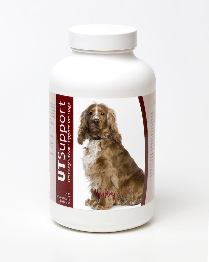 Sunde racer Engelsk Cocker Spaniel Cranberry Chewables - UT Support - Effektiv i at hjælpe med at bekæmpe skadelige bakterier & forhindre infektion i din hunds Bstige - 75 Greve