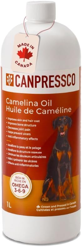 Camelina olie 500 ml flaske • 124; Omega 3 Olietilskud til heste, hunde og Feline fælles, Coat og hud sundhed