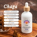 Rainbo - Chaga Mushroom Tinktur - Alkohol fri - Dual Extract Mushroom Supplement - Immunstøtte, Cellular Support, Flydende Chaga Supplement, Vegan, Ikke GMO, 3.4 fl oz