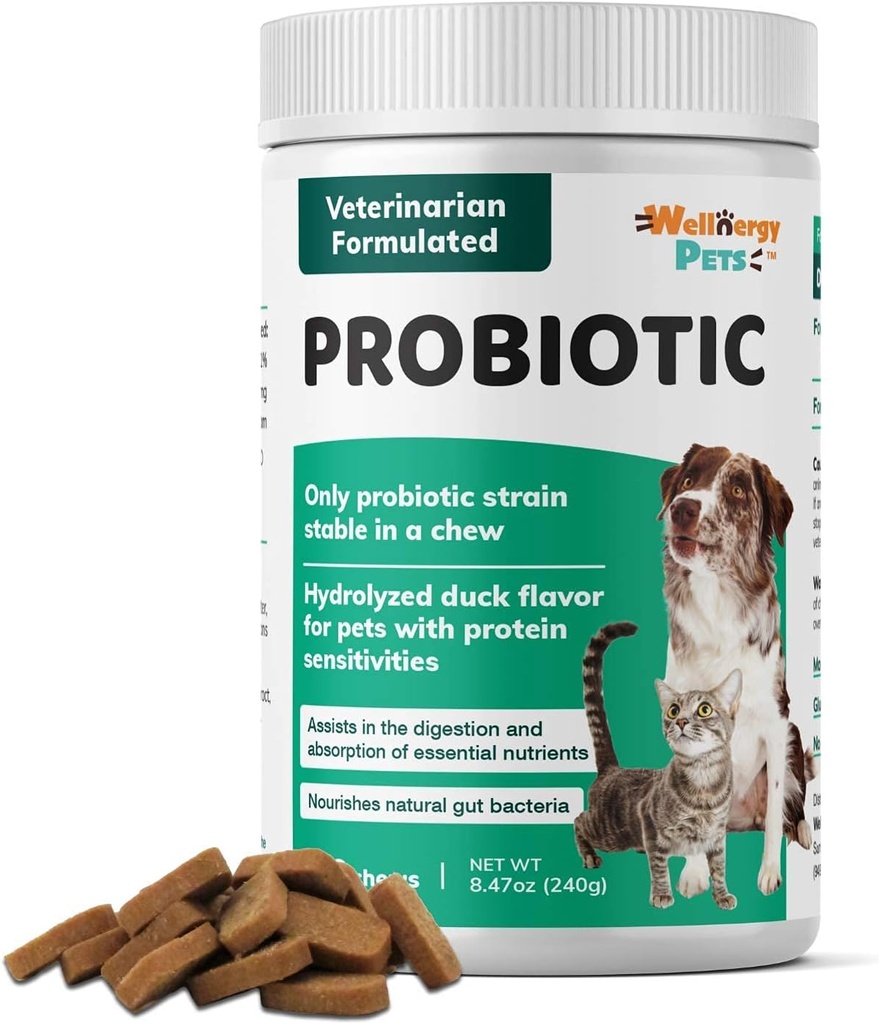 Wellnergy Daily Probiotic & Prebiotics Soft Chew for Dogs & Cats - Diarré, Forstoppelse, Opsat mave, fordøjelsesbesvær & Gas - Hjælper fordøjelse, Allergi Hud og immunforsvar 160ct