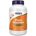 NOW Foods Supplements, Plant Enzymes with Lactase, Protease, Papain and Bromelain, 240 Veg Capsules