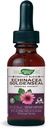 Nature 's Way Premium Formel Echinacea-Goldenseal, 250 mg per servering, 99,9% Alkoholfri, 1,01 Oz.