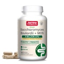 Jarrow Formulas Saccharomyces Boulardii + MOS - 5 Millioner Organismer Per Servering - 180 Delayed Release Veggie Caps - Probiotic + Prebiotic - Intestinal Tract Support - Op til 180 Servere
