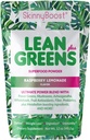 SkinnyBoost - Lean Green & Super Food Powder - Ultimate Power Blend med grøn te, Mushroom Blend, Ashwagandha, Spirulina Algae & Wholefoods - Natural Detox & Clean Energy - 30 Servere -12 Oz