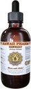 Ginkgo Liquid Extract, Organic Ginkgo (Ginkgo Biloba) Tincture Supplement 4 oz