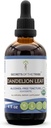 Hemmeligheder af Tribe Mælkebøtte Leaf USDA Organic Measures 124; Alkohol- fri ekstrakt, High- Potency Herbal Drops Measures 124; Fremstillet af 100% Certified Organic Taraxacum Officinale Tørret Leaf 4 fl oz