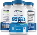 Organic Sea Kelp (Islandsk) Forbedret - Pure Sund Thyreoidea Support Natural Jod Supplement w / Organic Sea Kelp, Blue- Green Algaes & Red Algaes - Immunsystemet & Metabolisme Support - 90 kapsler