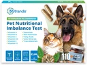 5Strands Pet Nutritional Imbalance Test, 112 Vitamin & Min Testet, på Home Dog & Kat Health Check for All Age & Breeds, Nutrition Dificiency Test, Resultater i 4 dage