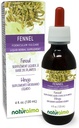 Naturalma Fennel (Foeniculum vulgare) Fruit Alcohol- Free Tincture - 4 fl oz Liquid Extract in Drops - Herbal Supplement - Vegan