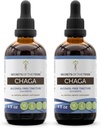 Secrets of the Tribe Chaga Tincture Alcohol- Free Extract, Wildcrafted Chaga (Inonotus obliquus) Tørret Hel Mushroom (2x4 FL OZ)