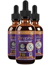 Rejuvica Health Zenapin IR - Advanced Mood Support - Kava Kava, Ashwagandha, Passionflower, Kamille, B- Vitamin & mere