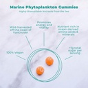 Vegan Life Nutrition Marine Phytoplankton Supplement, Orange Gummies (Pack of 60)