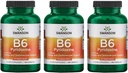 Swanson B6 Pyridoxin - Vitamin supplement Fremme Kardiovaskulær sundhed & energi Metabolisme - Naturformel Fremme Samlet Wellness - (250 kapsler, 100 mg hver) 3 Pack