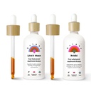 Rainbo Brain Health Bundle, Lions Mane Mushroom Extract + Reishi Mushroom Tincture, Dual Extract Daily Mushroom Tincture for Omfattende immunforsvar, Vegansk flydende Mushroom Kosttilskud
