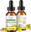 Mullein Drops til Lungs, Lung Detox & Rensning til Ryger, Organic Mullein Leaf Extract til Lungs w. Elderberry, Ingefær, Mullein Tincture Alkohol fri for respiratoriske Lung Health 2 FL / OZ