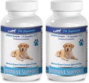 pet immunstyrke - Avanceret immunsystem support - CHEWABLE - for hunde - ashwagandha til hunde - 2 flasker (180 tykkere)