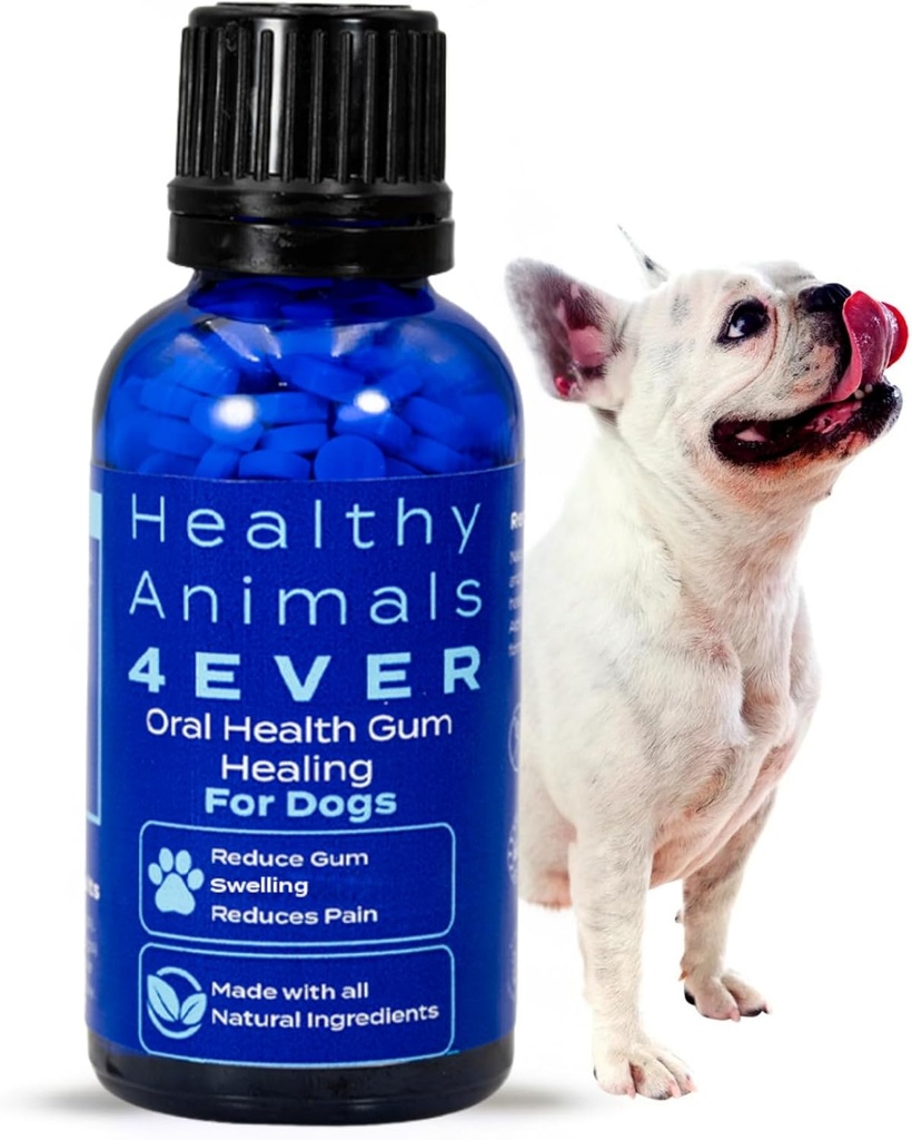 HA4E - Hund Oral Health Supplement - Lettelser Betændelse, lindrer smerter og kampe Gum sygdom - Natural, Non- GMO, Organic, Gluten- Free & Chemical- Free - 300 Tabletter