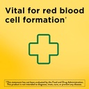 Nature Made Iron 65 mg (325 mg Ferrosulfate) tabletter, Kosttilskud til Red Blood Cell Support, 180 tabletter, 180 dages forsyning (pakke med 2)