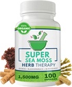 Sea Moss Capsules 100 Pack - Irish Sea Moss med Bladderwrack Powder & Burdock Root Powder - Keto & Alkaline Diet Support - Ingen Fillers Seamoss Raw supplement