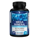 Potent Garden Mega Mineral supplement Komplet Mineral kompleks med Calcium Magnesium Zink Kalium Boron Selenium Chrom & 72 Trace Minerals Iron Free Calcium supplement -100 piller