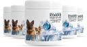 Naturlig hund supplement med 18 vitaminer, mineraler & elektrolyter. Blandinger med vand eller mad. (Kylling 5 pakke)